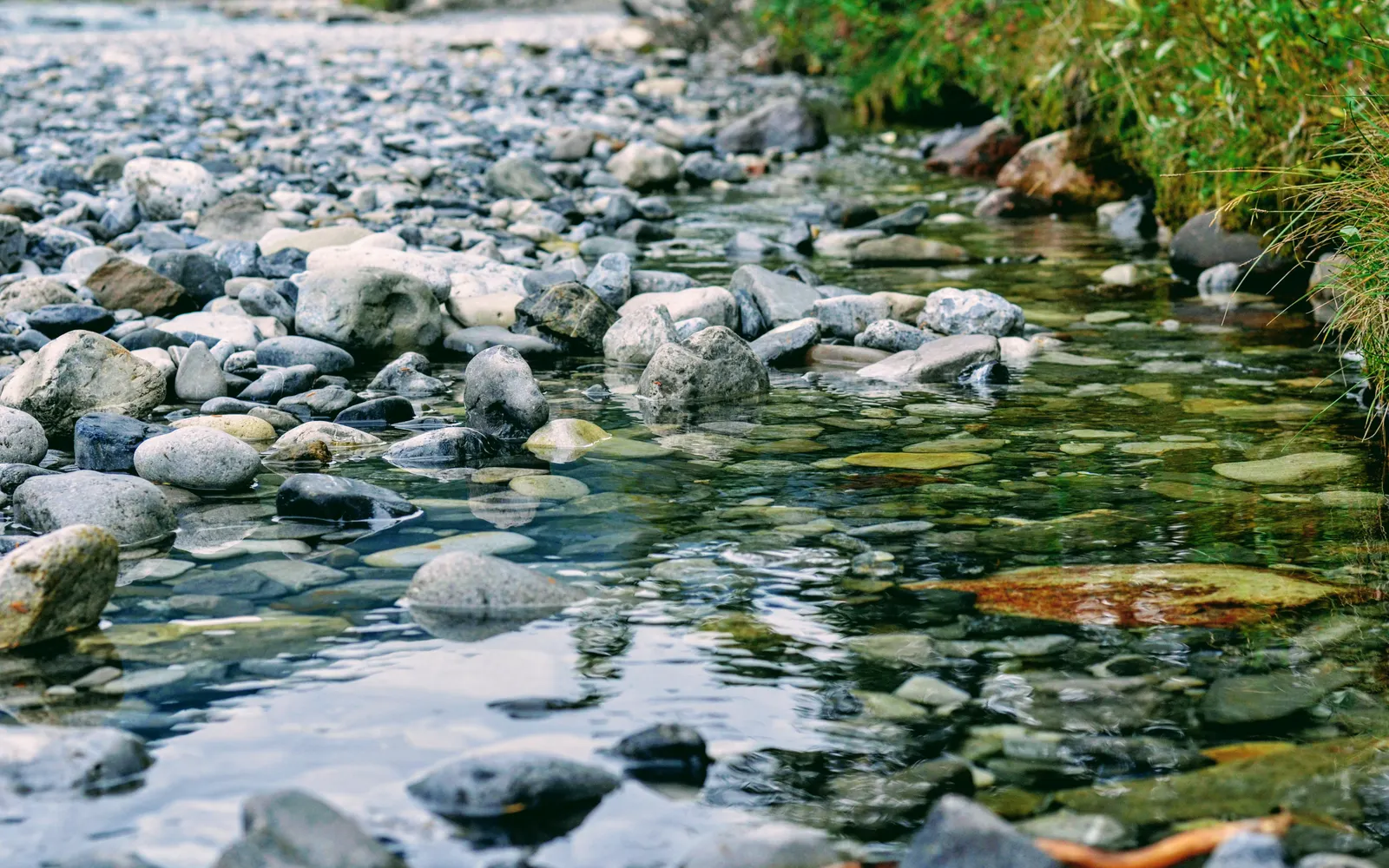 Peaceful rocky creek with clear water reflecting natural surroundings in a tranquil outdoor setting.